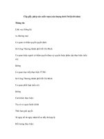 Cấp giấy phép sản xuất rượu (sản lượng dưới 3triệu lít/năm) pptx