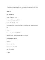 Tạm đình chỉ chấp hành phần thời gian còn lại tại trung tâm cho phụ nữ có thai ppsx