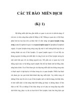 CÁC TẾ BÀO MIỄN DỊCH (Kỳ 1) pps