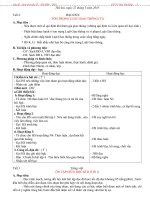 Giáo án L4, Tuần 28 (NH 2009-2010)