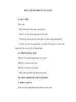 Sinh học 11 - Bài 8 : QUANG HỢP Ở CÂY XANH doc