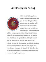 AIDS (bệnh Sida) pps