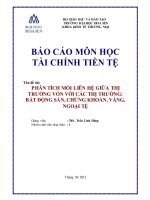 báo cáo môn học phân tích mối liên hệ giữa thị trường vốn với các thị trường bất động sản, chứng khoán, vàng, ngoại tệ
