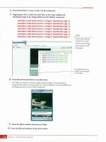 Adobe Flash CS3: The Professional Portfolio- P66 pps
