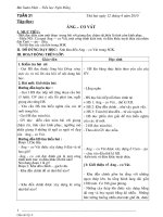 Giáo án lớp 4 - Tuần 31 (CKT-2010)