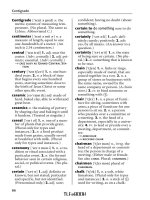 NTC''''s Pocket Dictionary of Words and Phrases part 13 pps