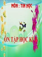 Ôn tập học kỳ môn tin học