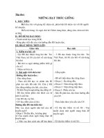 Tập đọc: Những hạt thóc giống