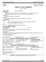 Bài 51. Saccarozo