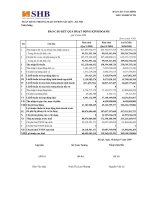 ngân hàng thương mại cổ phần sài gòn hà nội shb toàn hàng báo cáo tài chính báo cáo kết quả hoạt động kinh doanh quý 2 năm 2009