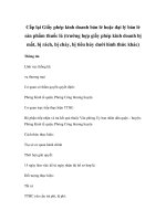 Cấp lại Giấy phép kinh doanh bán lẻ hoặc đại lý bán lẻ sản phẩm thuốc lá (trường hợp giấy phép kinh doanh bị mất, bị rách, bị cháy, bị tiêu hủy dưới hình thức khác) pdf