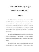 ÐÁP ỨNG MIỄN DỊCH QUA TRUNG GIAN TẾ BÀO (Kỳ 5) pptx