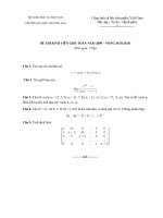 ĐỀ THI SINH VIÊN GIỎI TOÁN NĂM 2009 docx