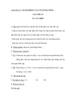 Giáo án Sinh 7 - NGÀNH ĐỘNG VẬT CÓ XƯƠNG SỐNG - CÁC LỚP CÁ - CÁ CHÉP ppt