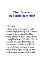 Cấu trúc nano: Bàn chân thạch sùng pdf