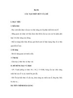 Sinh học 6 - Bài 10: CẤU TẠO MIỀN HÚT CỦA RỄ potx