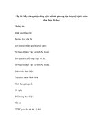 Cấp lại Giấy chứng nhận đăng ký bị mất do phương tiện thủy nội địa bị chìm đắm hoặc bị cháy docx