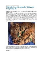 phát hiện xe chở động vật quý hiếm