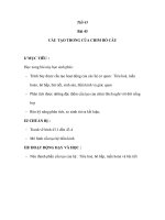 Sinh học 7 - Bài 43 CẤU TẠO TRONG CỦA CHIM BỒ CÂU pot