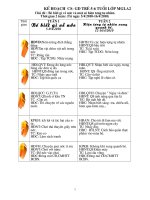 Kế hoạch chủ đề: Một số hiện tượng thiên nhiên