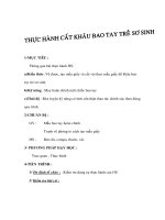 Giáo án Công nghệ lớp 6 - Thực hành cắt khâu bao tay trẻ sơ sinh pot