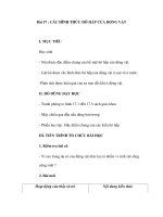 Sinh học 11 - Bài 17 : CÁC HÌNH THỨC HÔ HẤP CỦA ĐỘNG VẬT doc