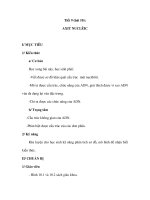 Sinh học 10 - Tiết 9 (bài 10): AXIT NUCLÊIC doc