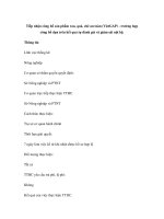 Tiếp nhận công bố sản phẩm rau, quả, chè an toàn (VietGAP) - trường hợp công bố dựa trên kết quả tự đánh giá và giám sát nội bộ pot