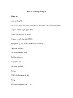 Báo cáo hoạt động của dự án ppt