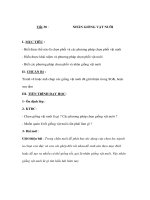 Giáo án công nghệ lớp 7 - NHÂN GIỐNG VẬT NUÔI pdf