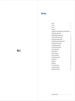 báo cáo thường niên 2009 bìa 2 ngân hàng quốc tế vib