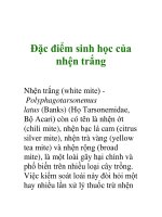 Đặc điểm sinh học của nhện trắng docx