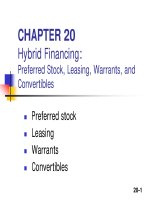 Slide Financial Management - Chapter 20 pptx