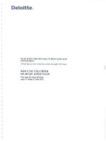 báo cáo tài chính đã kiểm toán năm 2012 ngân hàng xăng dầu petrolimex pg bank