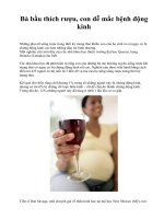 Bà bầu thích rượu, con dễ mắc bệnh động kinh docx