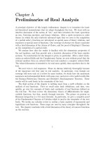 Real Analysis with Economic Applications - Chapter A pot