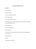 Cấp lại bản chính giấy khai sinh ppt