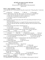 Đề kiểm tra HKII Ngữ Văn 9