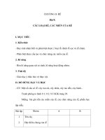 Sinh học 6 - Bài 9: CÁC LOẠI RỄ, CÁC MIỀN CỦA RỄ docx