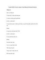 Tự giải thể đối với quỹ có phạm vi hoạt động tại tỉnh hoặc liên huyện pps