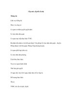 Cấp mới, cấp đổi số nhà pot