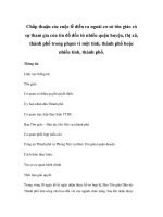 Chấp thuận các cuộc lễ diễn ra ngoài cơ sở tôn giáo có sự tham gia của tín đồ đến từ nhiều quận huyện, thị xã, thành phố trong phạm vi một tỉnh, thành phố hoặc nhiều tỉnh, thành phố. doc