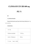 CLINDAMYCIN IBI 600 mg (Kỳ 1) pps