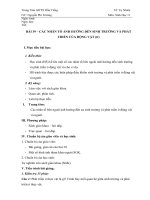 Bài 39 Sinh học 11 Căn bản