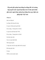 Cấp mới giấy phép hoạt động lao động đối với trường hợp người nước ngoài đại diện cho tổ chức phi chính phủ nước ngoài được phép hoạt động theo quy định của pháp luật Việt Nam doc