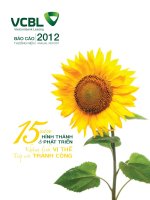 báo cáo thường niên 2012 vcbl vietcombank leasing 15 năm hình thành phát triển khẳng định vị thế tiếp nối thành công
