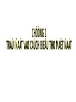 Chương 1: Trái đất và cách biểu thị mặt đất docx