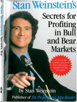 Secrets for profiting in bull and bear markets Chapter 1 potx
