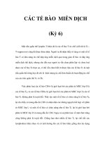 CÁC TẾ BÀO MIỄN DỊCH (Kỳ 6) pps