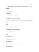 Cấp Giấy phép bán buôn rượu trên địa bàn thành phố Hồ Chí Minh potx